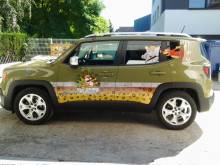 Nos prestations sur le secteur de Molsheim